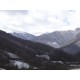 3 Litres Sève de bouleau fraiche, pure , bio, montagne, vallée de barousse Hautes Pyrennées entre 900 et 1500m d'altitude